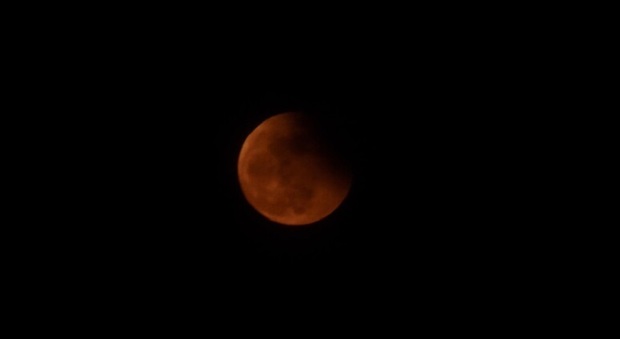 Luna, eclissi parziale visibile ad occhio nudo: ecco quando vederla