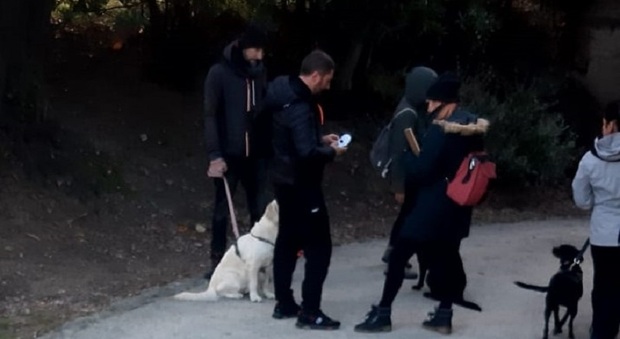 Comportamenti corretti dei propri cani, task force della Polizia Locale di Ancona: controlli in borghese sul territorio