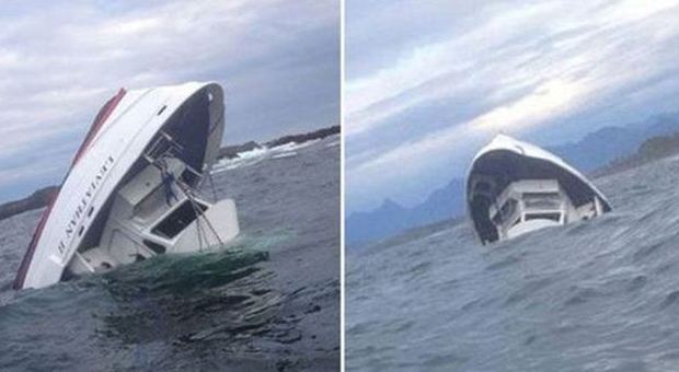 Affonda barca per avvistamento balene: cinque morti e un disperso