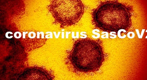 Coronavirus, ecco quali sono le età più a rischio e le patologie nei casi critici