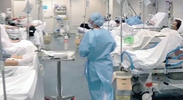 Usa, finti pazienti in corsia assunti negli ospedali: così stanano i medici incapaci