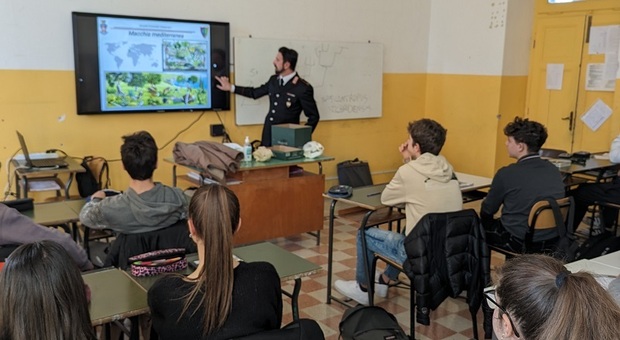 Il liceo classico “Varrone" aderisce ai progetti di educazione Ambientale dei carabinieri forestale