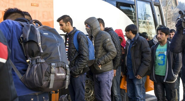 Il prefetto di Trieste: «Quadruplicati i rintracci dei migranti rispetto al 2022»