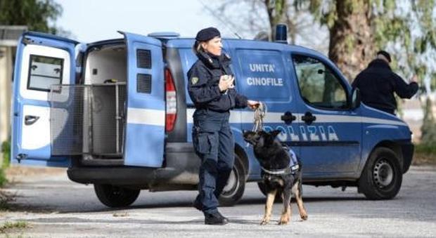 Droga, arrivano i cani poliziotto davanti alle scuole: trovato hashish in un portachiavi