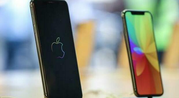 Apple produrrà l'iPhone 11 in India