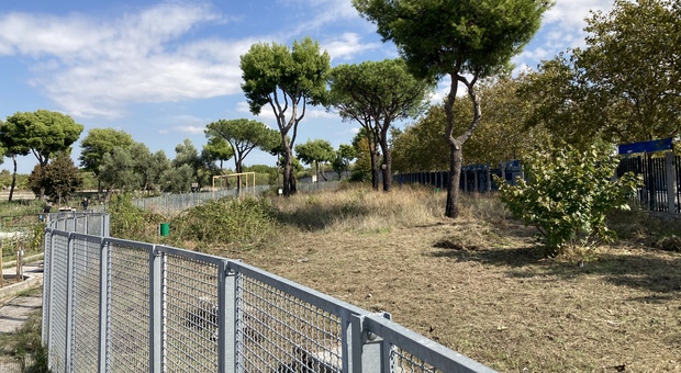 Degrado a Napoli, il Comune pulisce l'area destinata ai cani mai inaugurata a Ponticelli