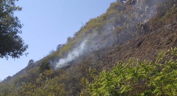 Nuovo incendio nel Napoletano: fiamme in pineta tra Cuma e Licola