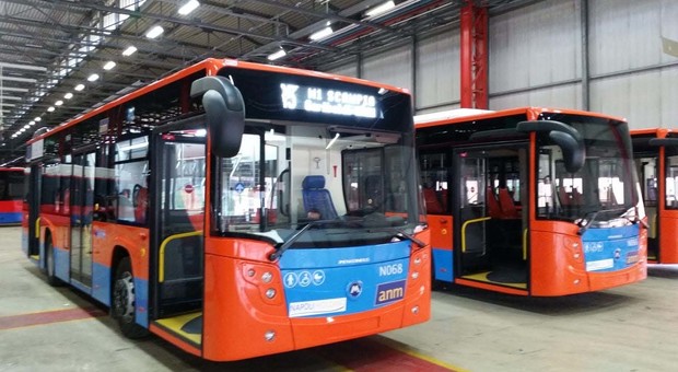 Anm, ecco i nuovi bus: collegati via satellite e con il Wi-Fi a bordo