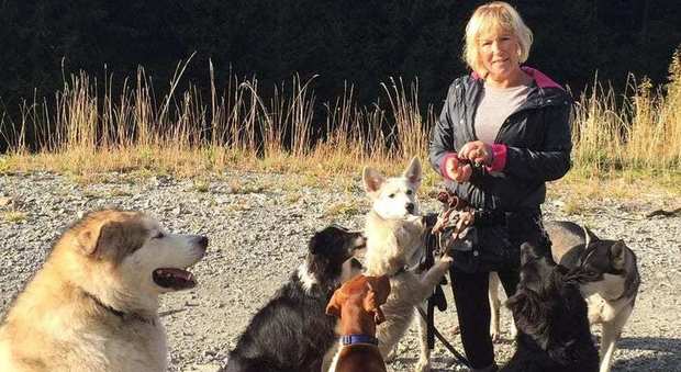 Canada, donna ferita nel bosco, i suoi cani l'assistono per giorni e aiutano i soccorsi a trovarla