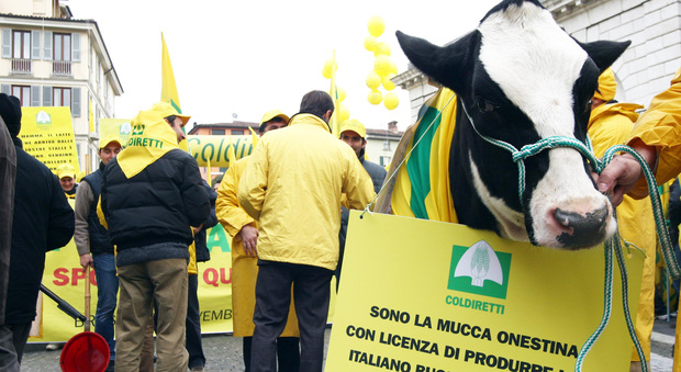 La mucca "Onestina" mascotte di Coldiretti