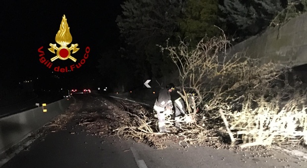 Tragedia sfiorata: vento fortissimo fa cadere alberi sulle auto e blocca le strade, in azione i vigili del fuoco