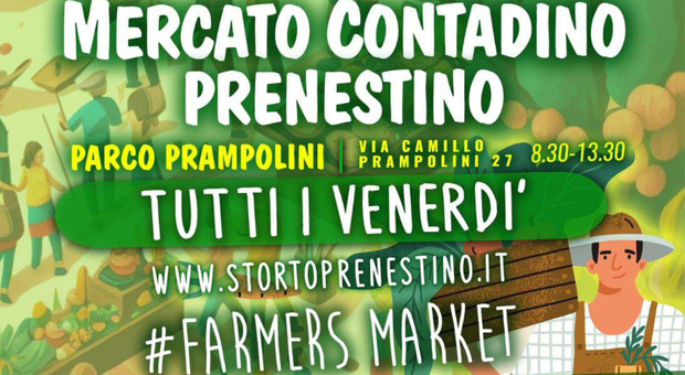 Roma, anche il Prenestino avrà il suo mercato contadino a km 0