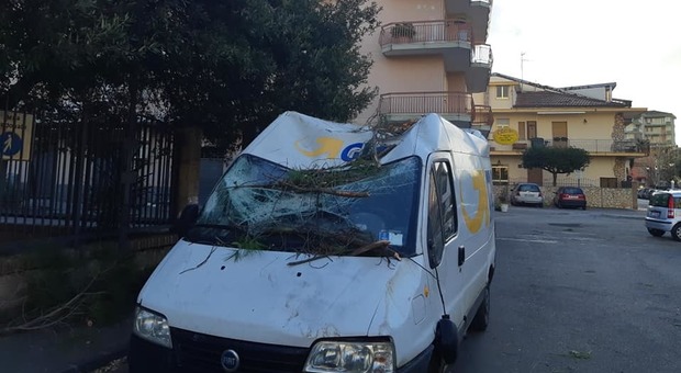 Vento forte, in provincia di Salerno danni ingenti per il crollo di alberi