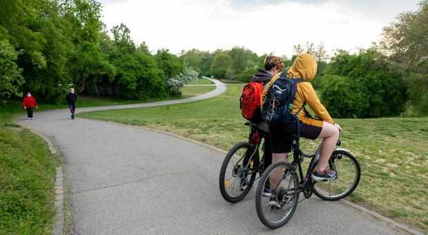 A 15 anni cade dalla bici facendo fuoripista: è grave. Il presidente di Parco Nord: «Questi sentieri non ci devono essere»