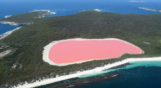 Ecco perché un lago australiano è di colore rosa confetto