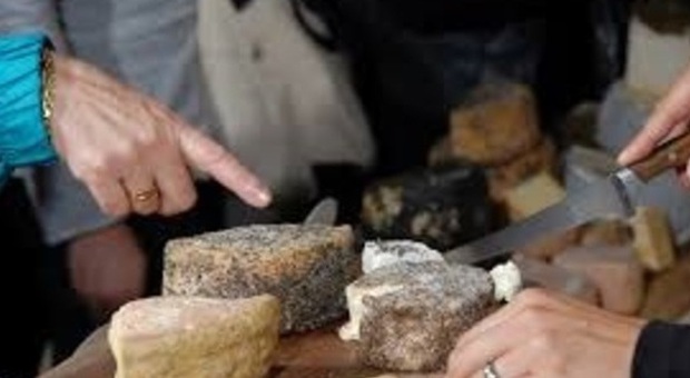 Urbino, un corso per diventare assaggiatore ​di formaggi