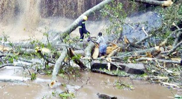 Ghana, alberi si abbattono su una scolaresca che nuota in un fiume: venti morti, 11 feriti