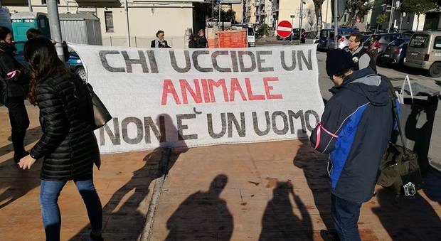 Cucciolo ucciso, Salerno si mobilita: «Giustizia per Chicca» | Fotogallery