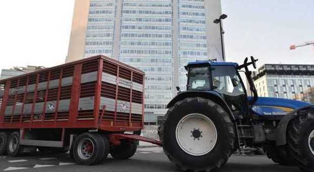 Milano invasa dai trattori: presidio sotto il Pirellone per la crisi del settore latte