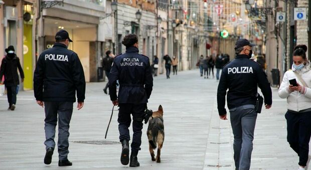 Emergenza droga, a Firenze arriva l'unità cinofila della Polizia municipale: «Un aiuto necessario per la sicurezza della città»