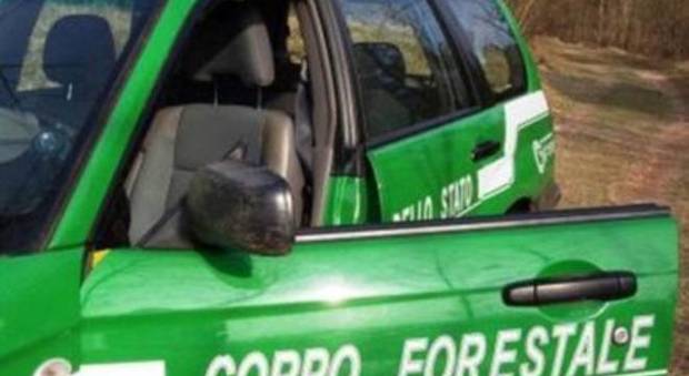 Nella foto l'auto degli agenti della Forestale di Barisciano