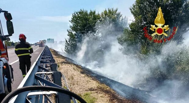 Incendio lungo l'autostrada A14, sul posto i vigili del fuoco: area da bonificare tra Loreto e Ancona