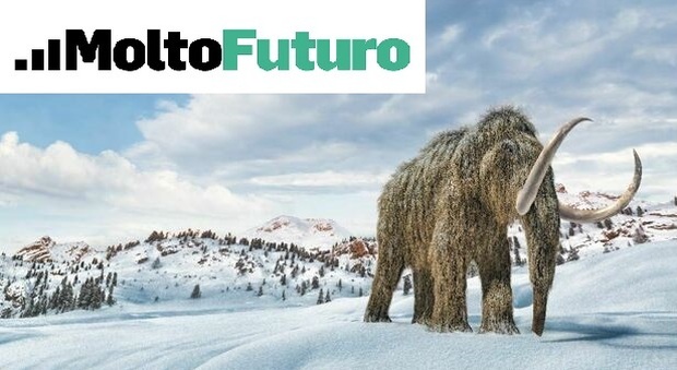 Mammut redivivi, ricette contro il permafrost che si scioglie e nuove coltivazioni. Ecco "MoltoFuturo"