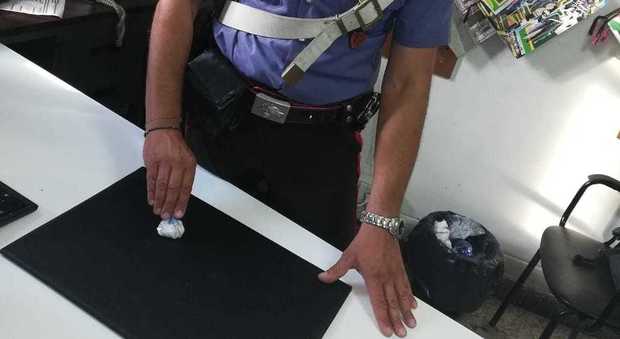 La cocaina sequestrata dai carabinieri