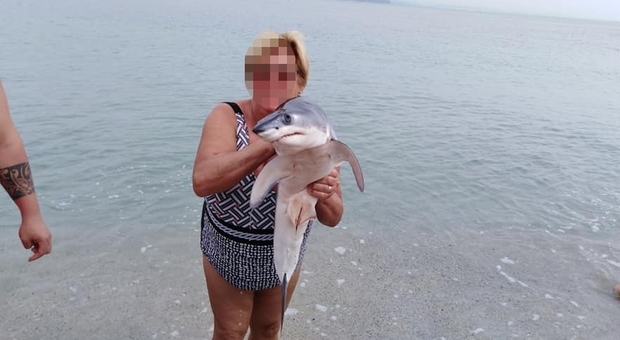 Spunta un cucciolo di squalo mako: pioggia di selfie in Calabria