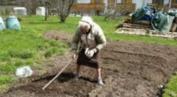 Nonna Giulia Fontanive 103 anni, di Canale d'Agordo, lavora ancora la terra