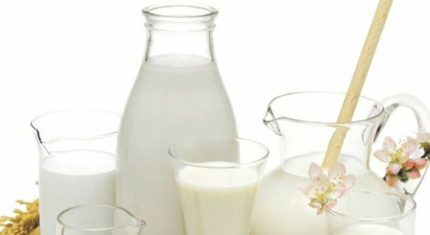 Salva latte, Coldiretti Campania incontra Parmalat