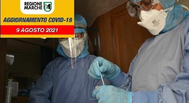 Coronavirus, nella Marche 46 nuovi positivi, la metà in una provincia. Salgono ancora i ricoverati/ Il trend dei contagi