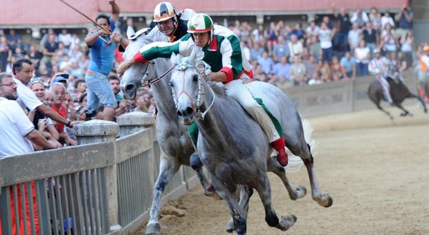 Palio di Siena, potranno correre solo cavalli nati in Italia