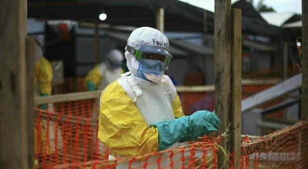 Ebola, nuova epidemia in Guinea scatenata da virus latente. Si è riattivato in persona asintomatica