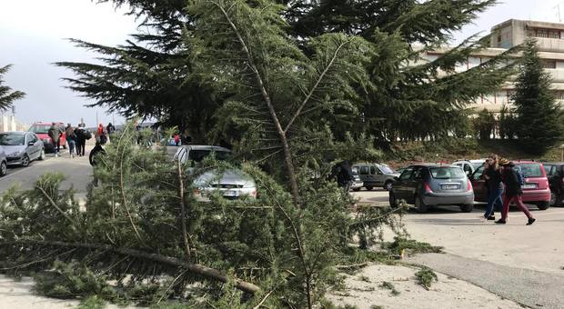 L’Aquila sotto la morsa del vento forte: alberi caduti, strade interrotte, disagi all'ospedale e al Progetto Case