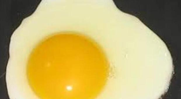 Colesterolo, gli Usa riabilitano l'uovo