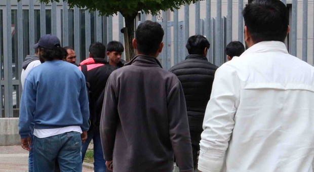 Migranti scoperti a Trieste: 66 persone, ci sono anche minori