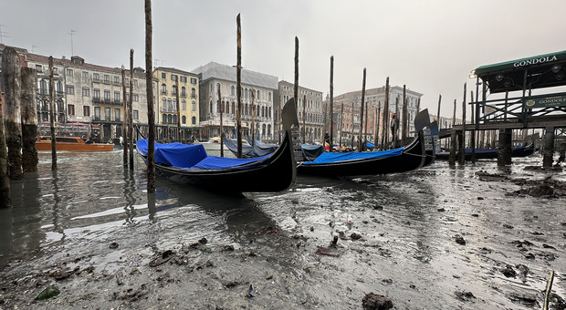 I canali di Venezia non sono navigabili perché sono senz'acqua, le gondole parcheggiate nel fango