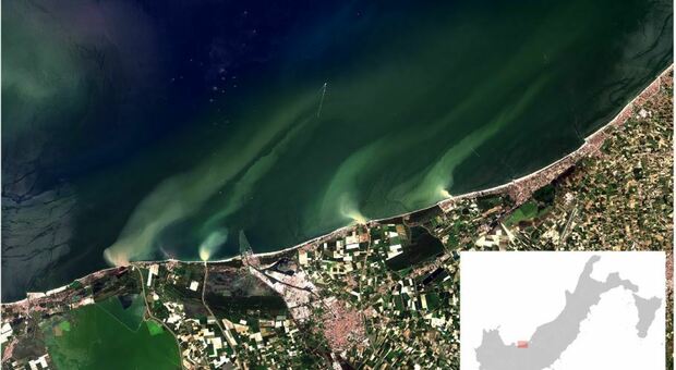 Alluvione Emilia Romagna, fango e detriti dai fiumi al mare Adriatico: le immagini satellitari di una "fascia" di oltre 50 chilometri