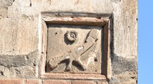 «Un fallo con coda e zampette», l'iscrizione dell'antica Pompei fa impazzire il web