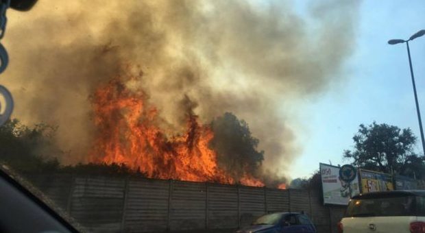 Napoli: incendi a Monte Sant'Angelo e Ischia, fiamme alimentate dal vento