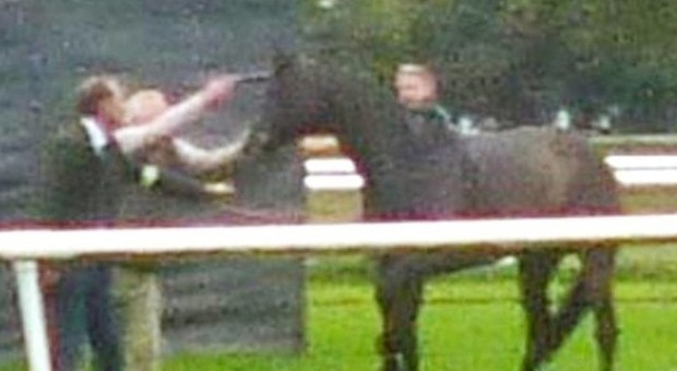 Il cavallo è ferito, non serve più, il proprietario gli spara in fronte dopo la gara. La foto provoca rabbia e polemiche