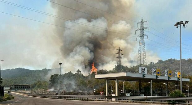 Incendi, l’Italia brucia più di tutti: in un mese 33mila roghi. Allarme morti per il caldo