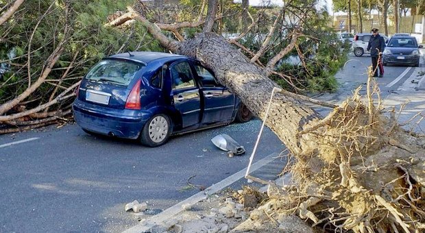 Maltempo, albero abbattuto dal vento a Napoli, due feriti. Scuole chiuse in Campania
