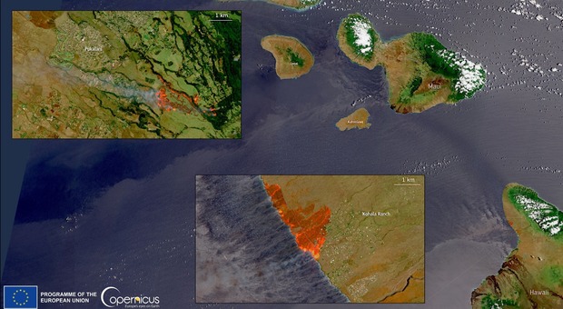 Hawaii devastata dagli incendi, 36 morti e 11mila evacuati dall'isola di Maui