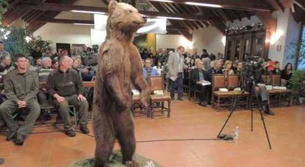 Processo all'orso per le uccisioni sull'Altopiano: Genè assolto