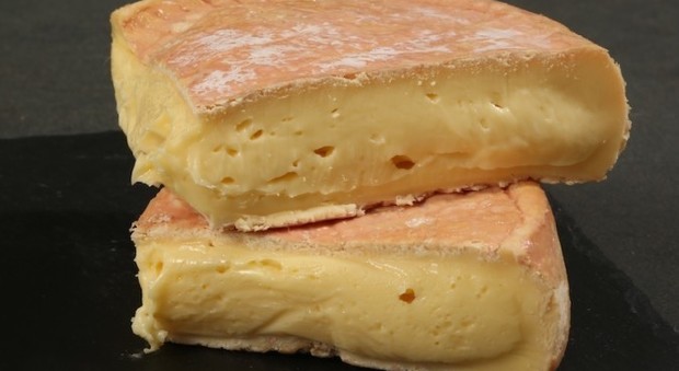 Batterio killer nel formaggio fresco: due morti. Al via il ritiro dal mercato