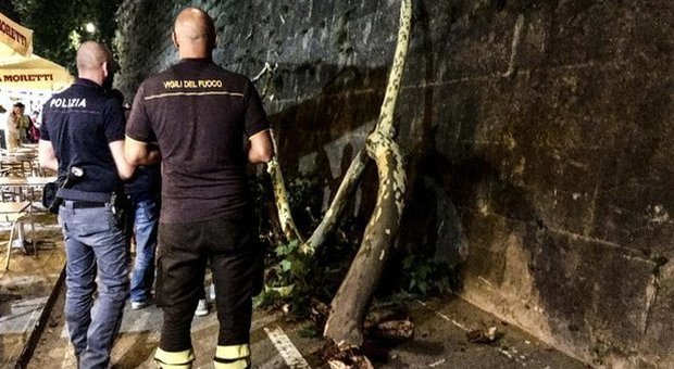 Roma, famiglia travolta da ramo sul Tevere: albero senza cure da 19 anni