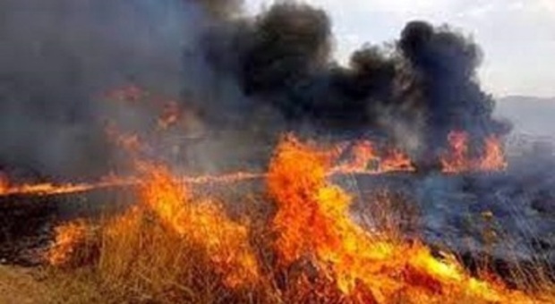 Giugliano in Campania, appicca un incendio nella riserva naturale a Licola: arrestato piromane