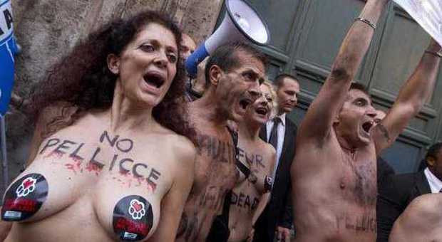 Blitz animalista alla sfilata di Jean Paul Gautier: slogan e tensione FOTO